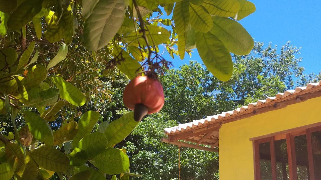 Casa Som Do Mar - Trancoso 빌라 외부 사진